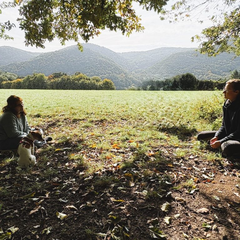 Hundetraining Retz - Einzelcoaching