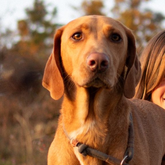 Hundetraining Retz - Noni