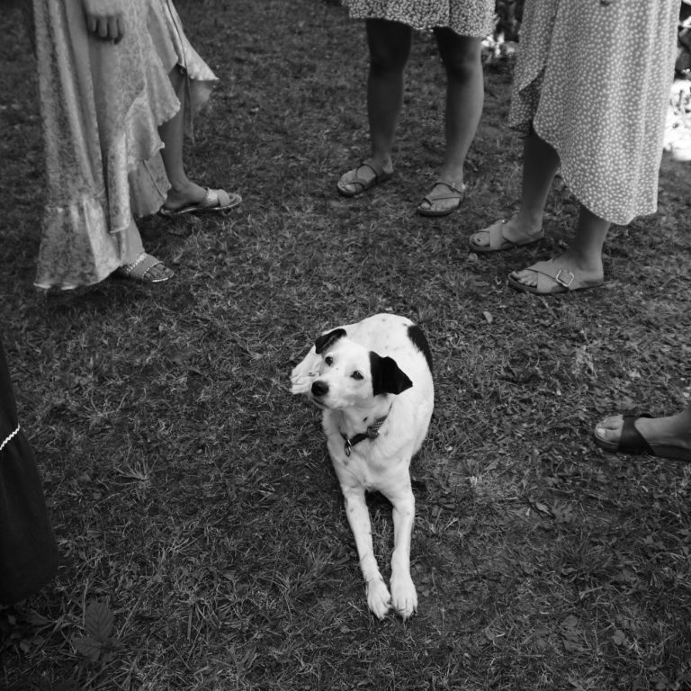 Hundecoaching Weinviertel - Kommunikation